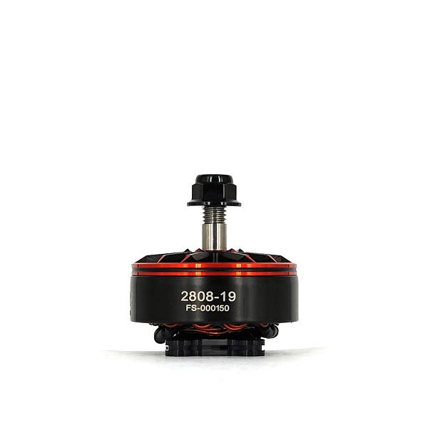 2808 Freestyle smooth line